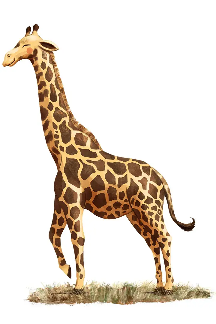 Girafa - Ilustrada por André Martins