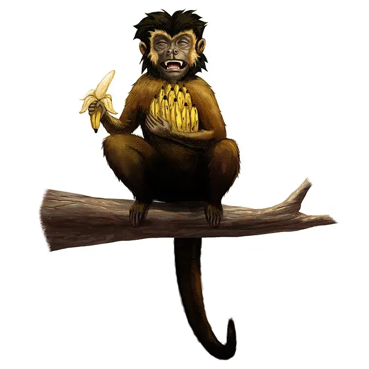 Macaco - Ilustrado por André Martins